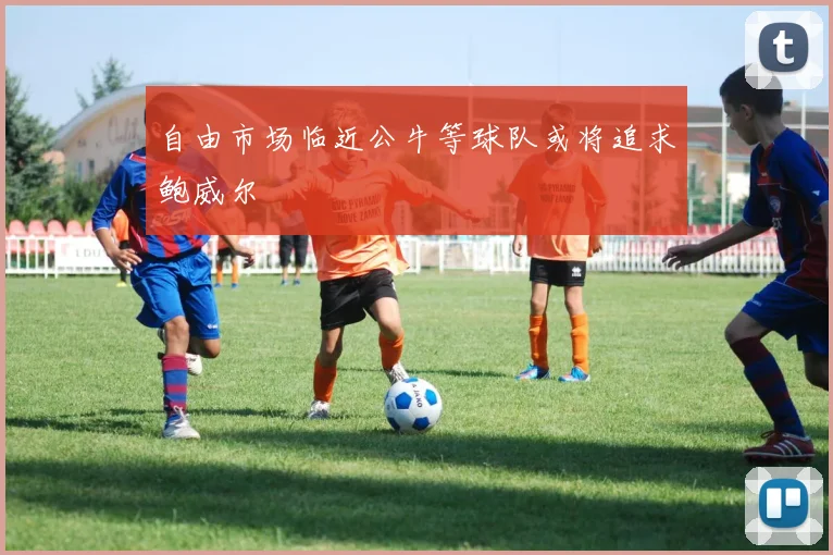 自由市场临近公牛等球队或将追求鲍威尔