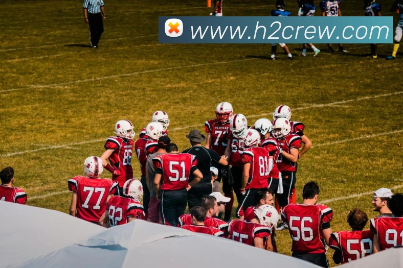 APP界面展示